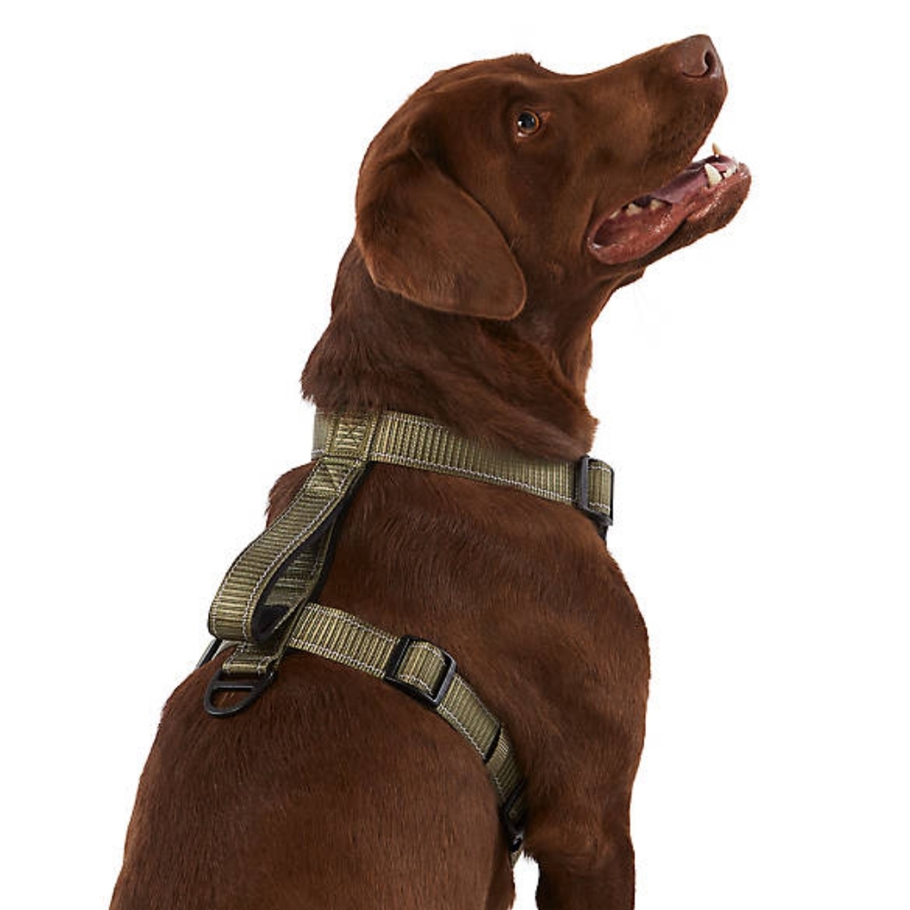 KONG® MAX Neoprene Padded Dog Harness Size L - Picture 2 of 15